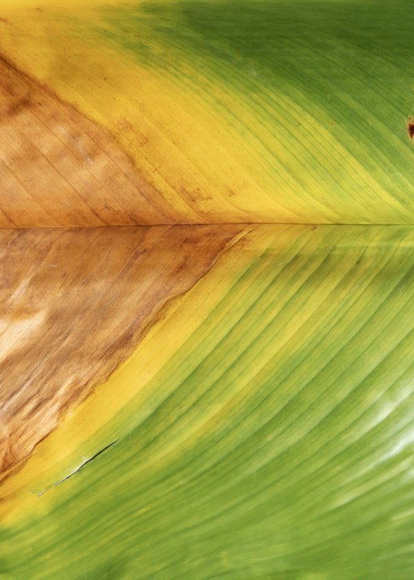 Quand passer au wifi professionnel?